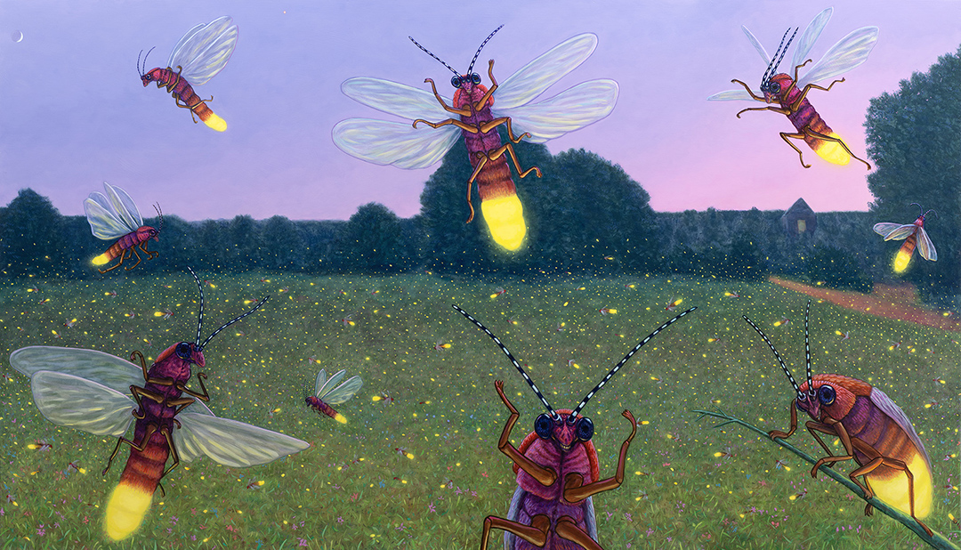 Pasture Fireflies